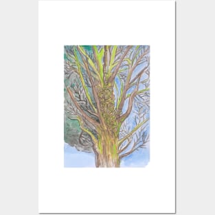 MEDUSA WATERCOLOR TREE Posters and Art